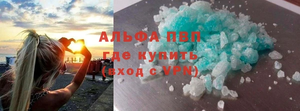 амф Гусев