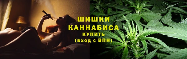 амф Гусев
