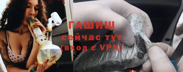 амф Гусев