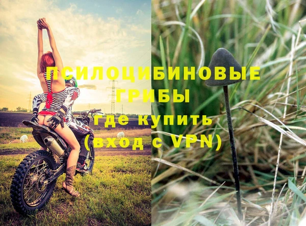 амфетамин Дмитриев