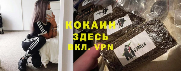 Альфа ПВП Гусь-Хрустальный
