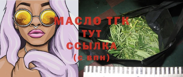 амф Гусев