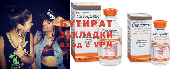 амф Гусев