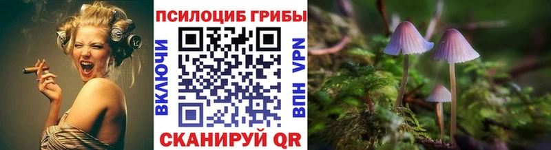 Галлюциногенные грибы Psilocybe сайты даркнета официальный сайт Меленки